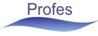 Fraunhofer IESE presented at PROFES 2025